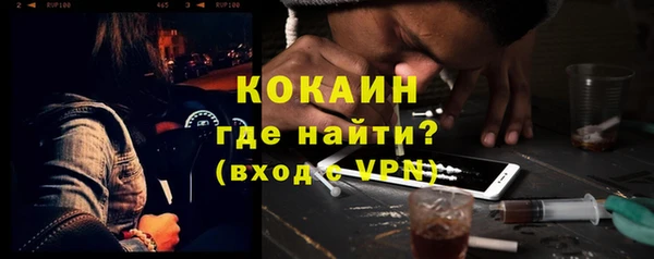 трава Магас